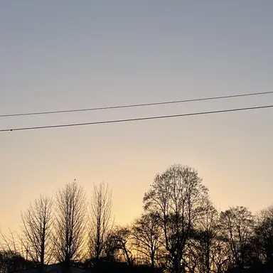 Profile image of 제미니