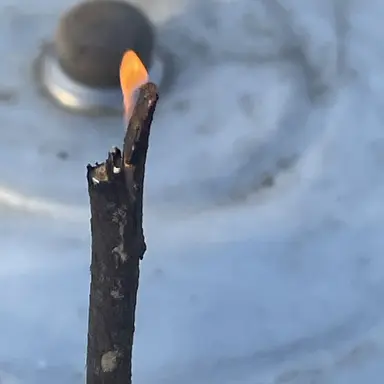 Profile image of 류