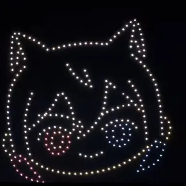 Profile image of どぬく