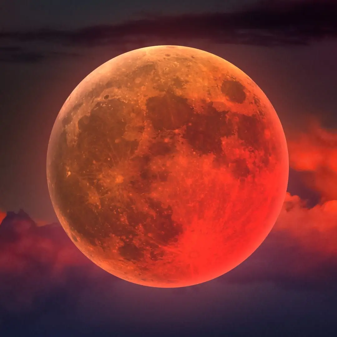 CattyFog3042의 뱀파이어 세계 소꿉친구