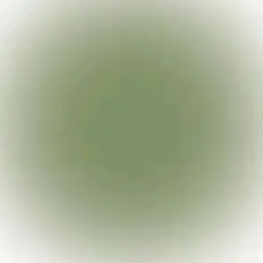 Profile image of すち