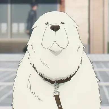Profile image of Bond
