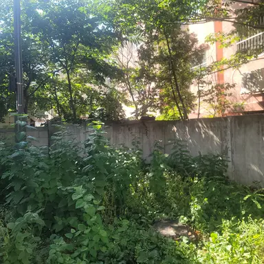 Profile image of AI 도우미