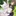 Lv2부터 치트였던 전직 용사후보의 유유자적 이세계 라이프