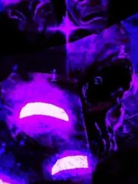 Kong_namul_Gukbap의 포세이큰 동거중 여우의 거짓말..