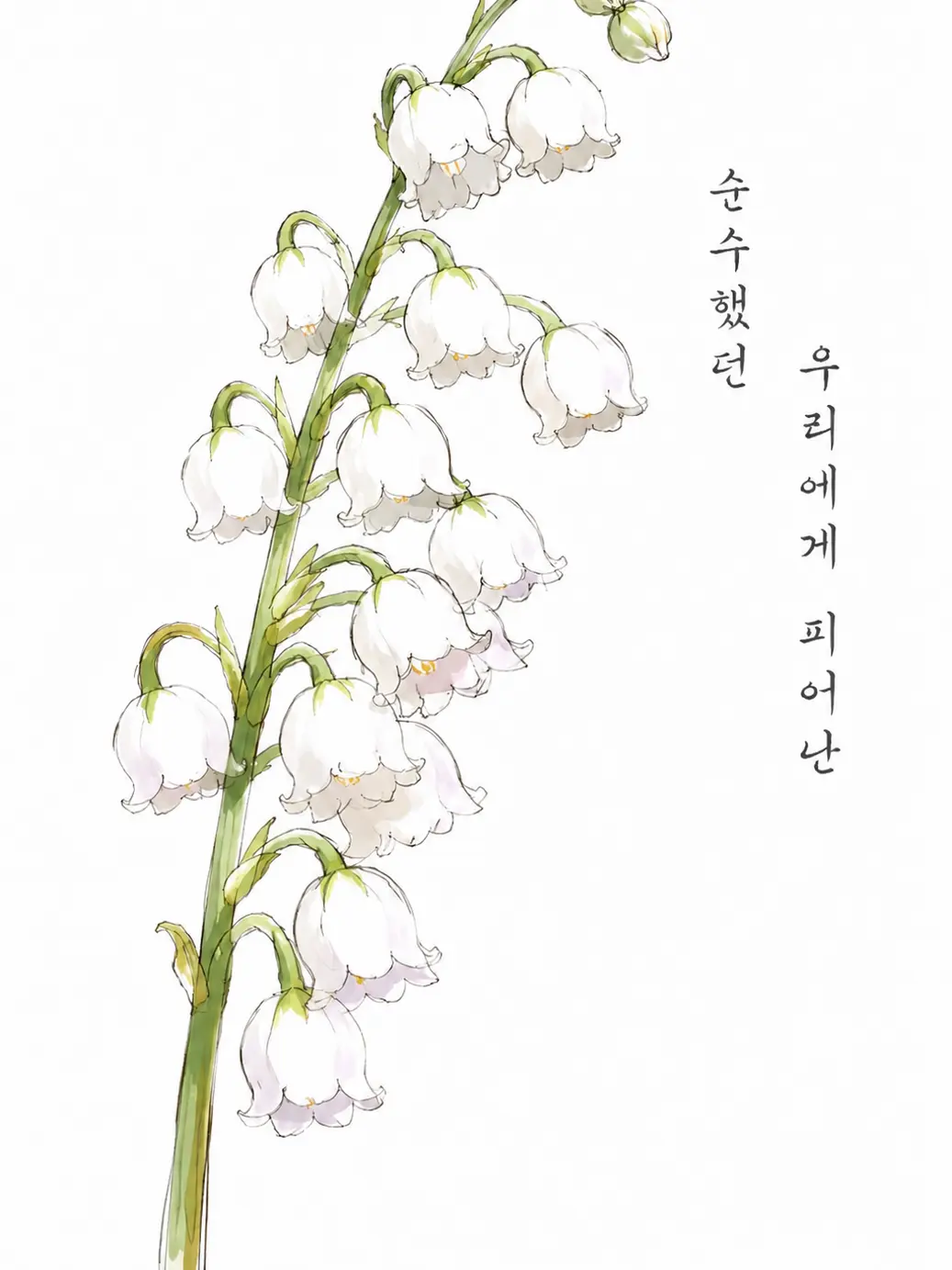 LuciaLUX의 은방울꽃