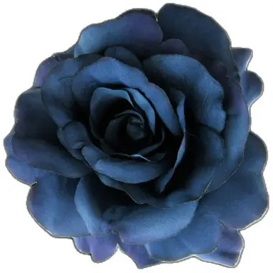 Profile image of Z