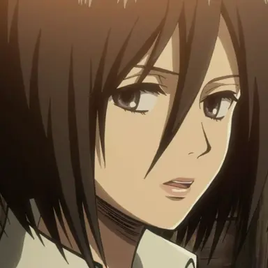 Profile image of ミカサ