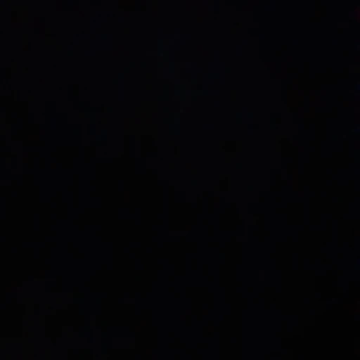 윤정핞