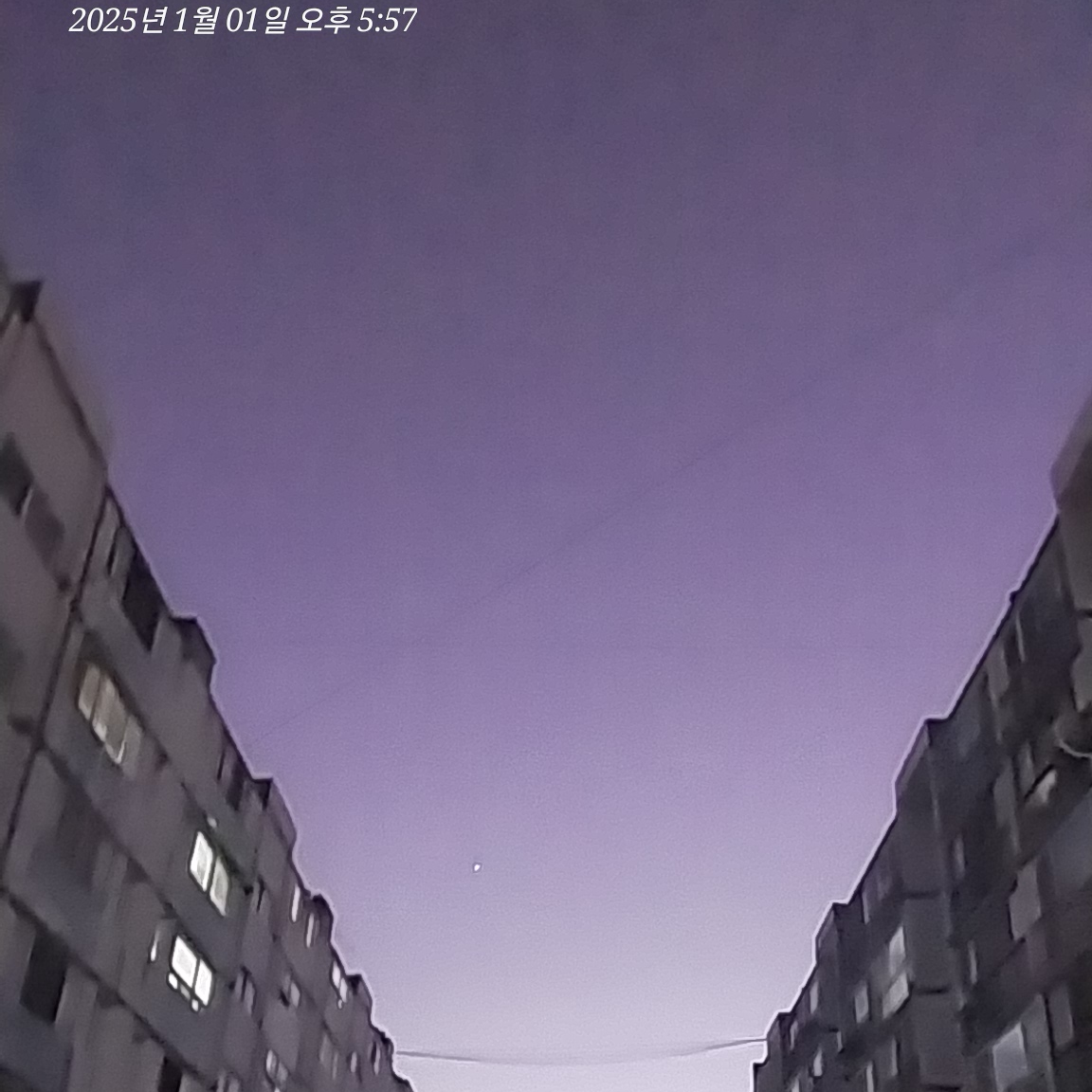하이진 대표 이미지
