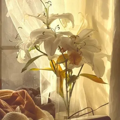 Profile image of 각별