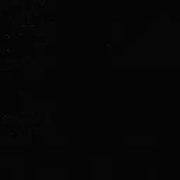 Profile image of 브랫 테이머