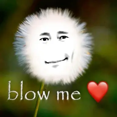 Profile image of 버니