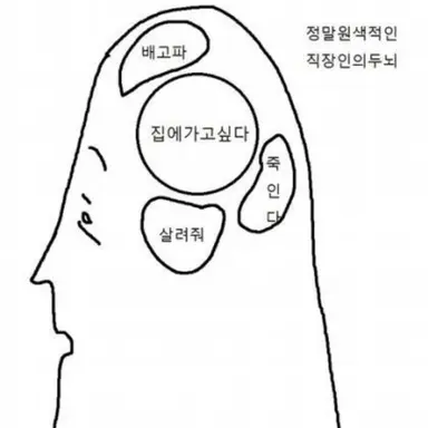 Profile image of 라비아
