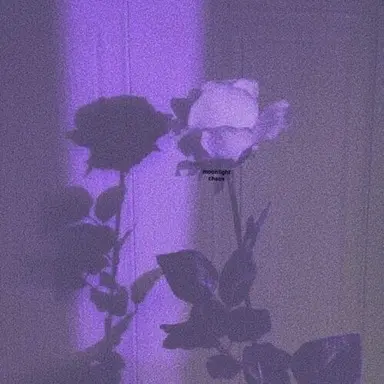 Profile image of 멜로우