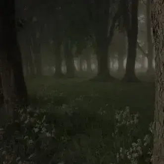 Profile image of Forest