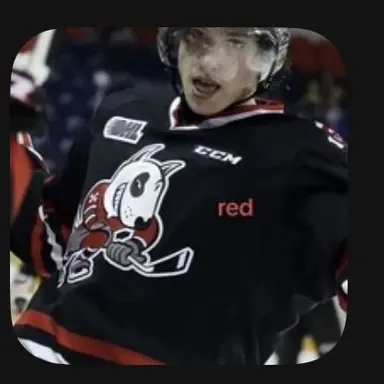 Profile image of Josh Lynch