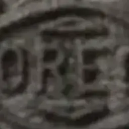 BaldDebt1980의 왜..아기가?..(고프+여우)