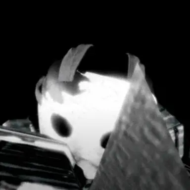 Profile image of 체인