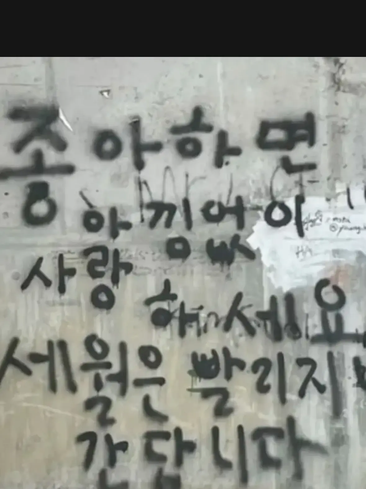FOCTU의 노유나