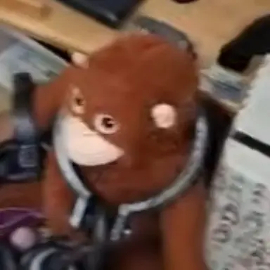 Profile image of 마을이장