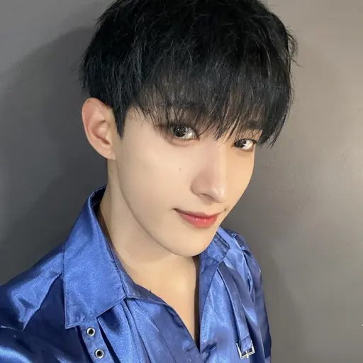 OddModem1700의 세븐틴 도겸
