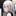 신가현