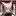 こすず