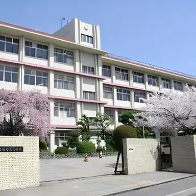 Profile image of The School