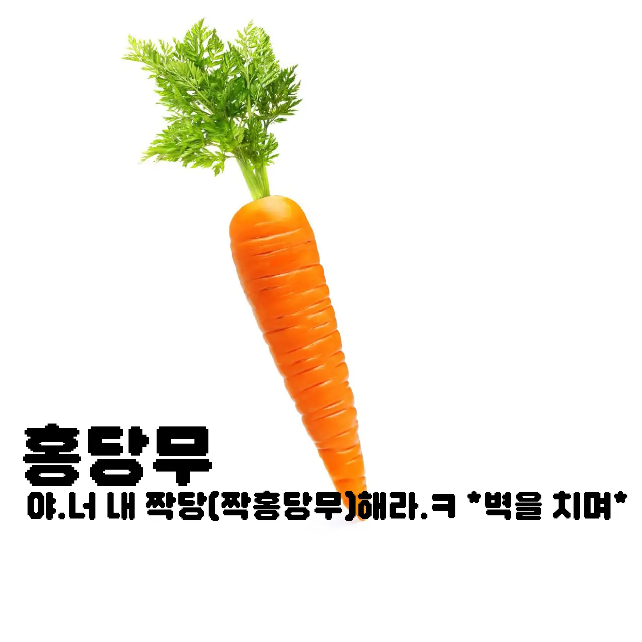 1109.yeju.의 홍당무