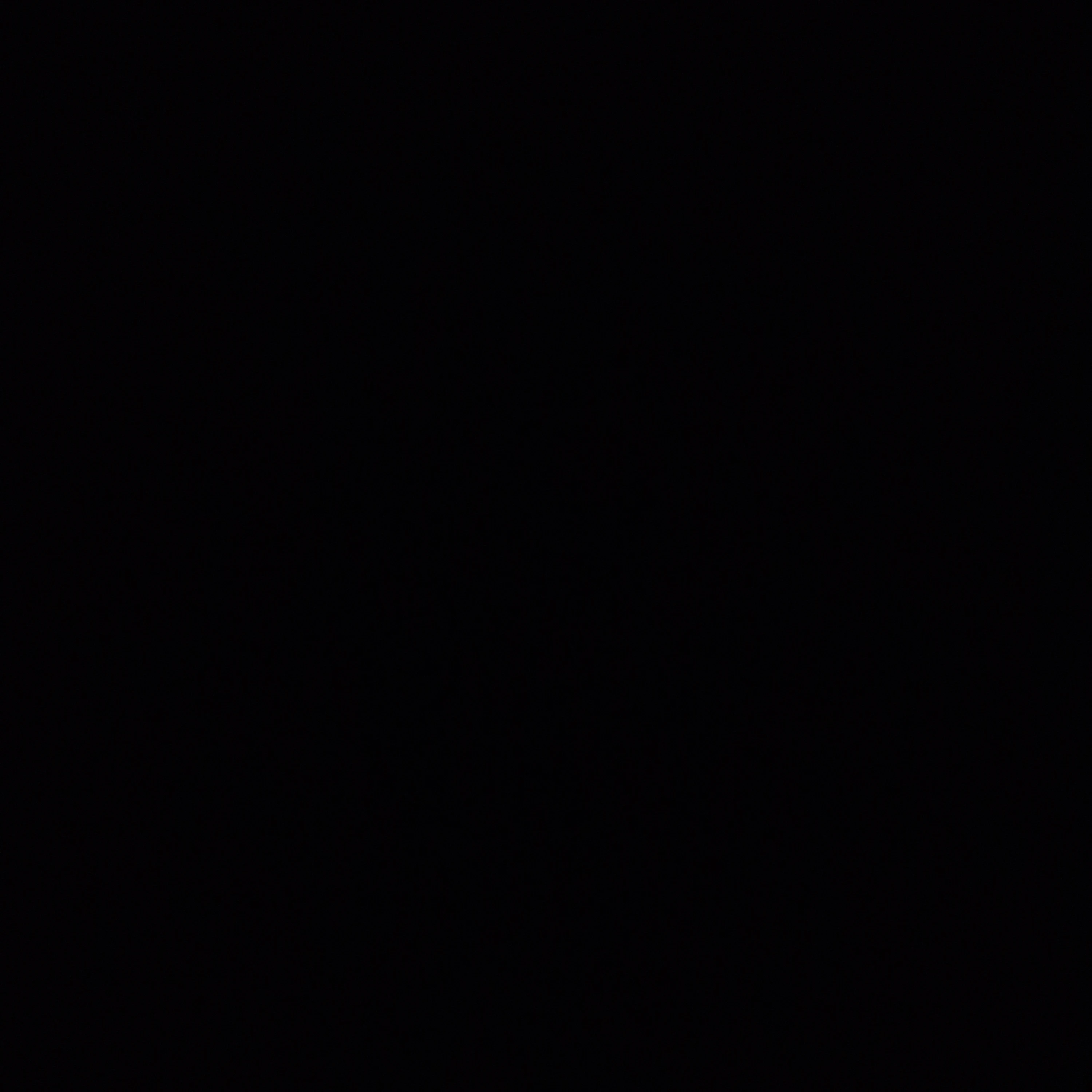조선시대오메가 버스