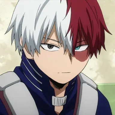 Profile image of Shoto Todoroki