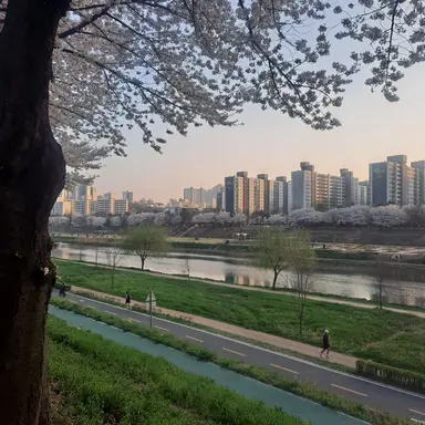 Profile image of 엄성현