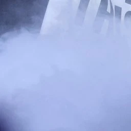 김동현