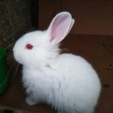 Profile image of 백시현