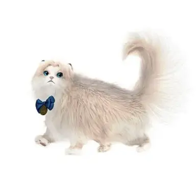 Profile image of 두부