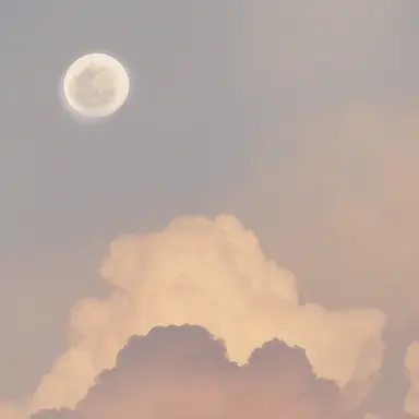 Profile image of 베이지