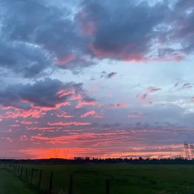 Profile image of 김유연