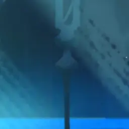 Profile image of 세인트릴리 쿠키