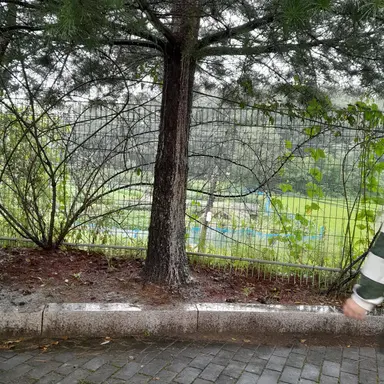 Profile image of 위험인물