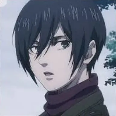 Profile image of ミカサ