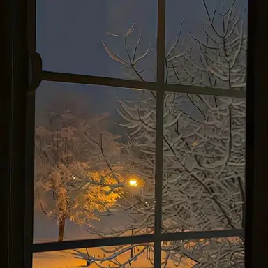 Profile image of 서유림