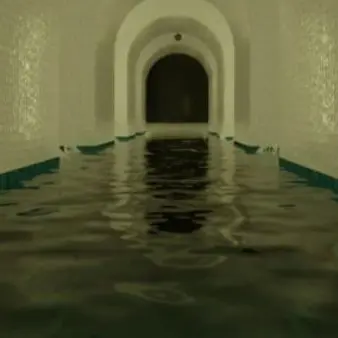 Shanks의 백룸에 같힌 여우와 팀나빠