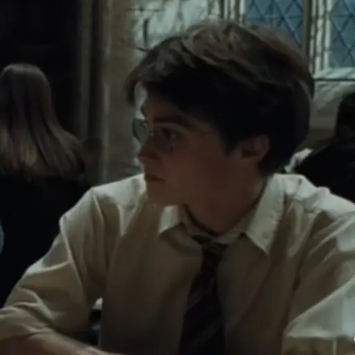 HARRY_POTTER_LOVER의 Harry Potter
