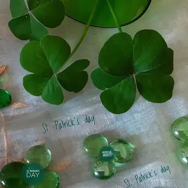 Profile image of 정공룡