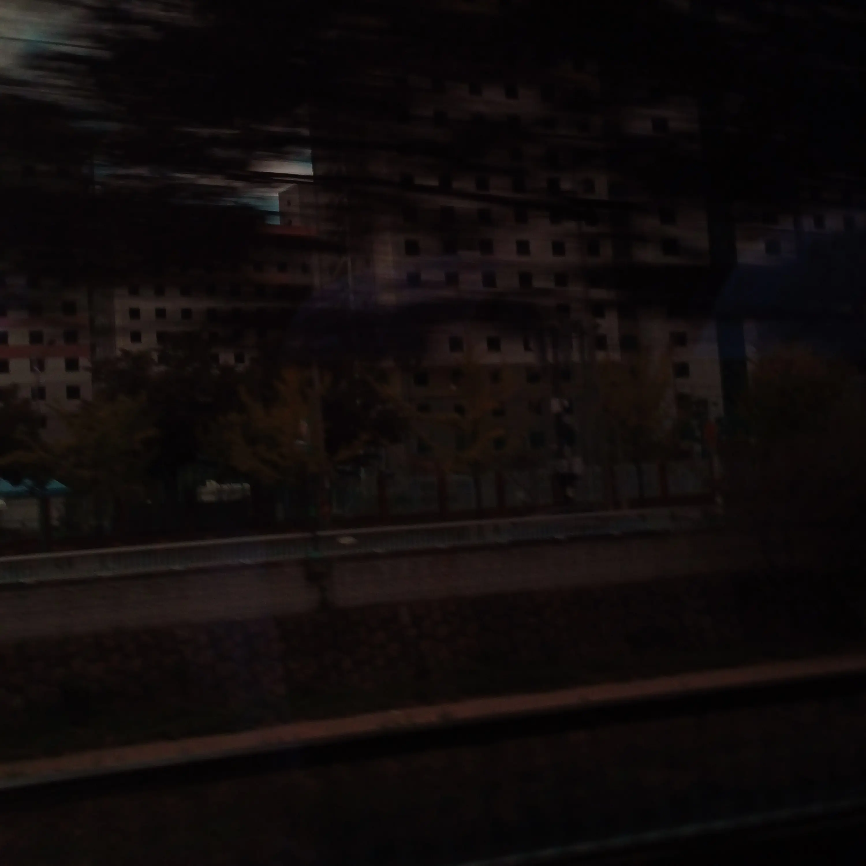 night_yeji의 당신은 아이리스 입니다