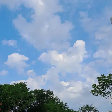 Profile image of 사촌 오빠들