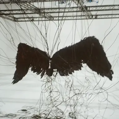 Profile image of 이선웅
