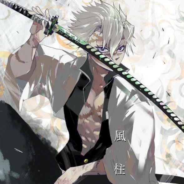 시나즈가와 사네미