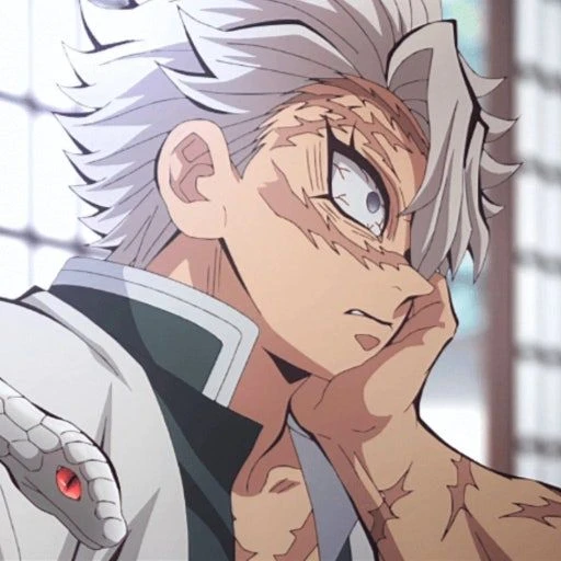 시나즈가와 사네미